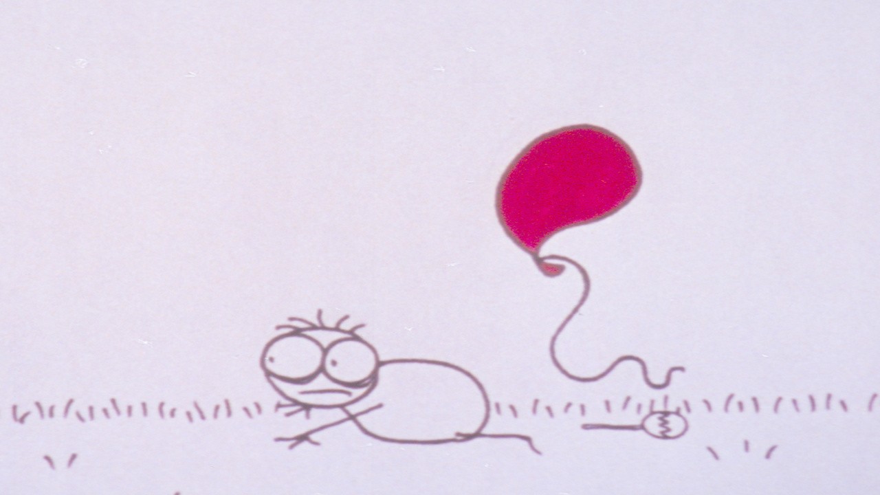 The Animation Show