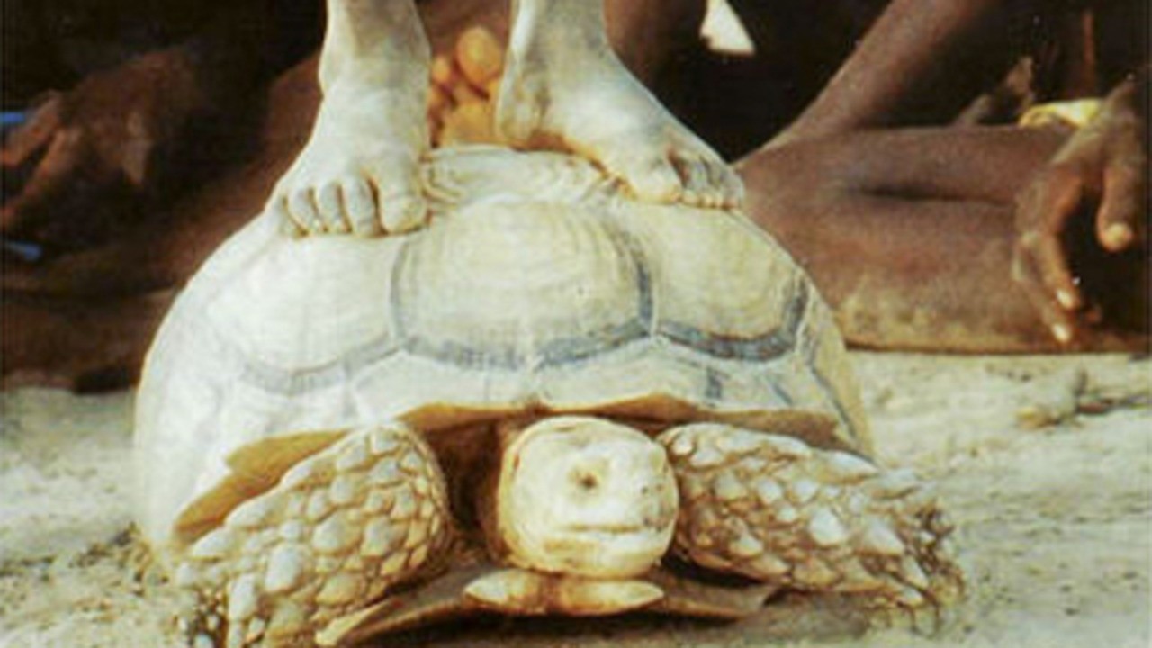Image du film Rabi