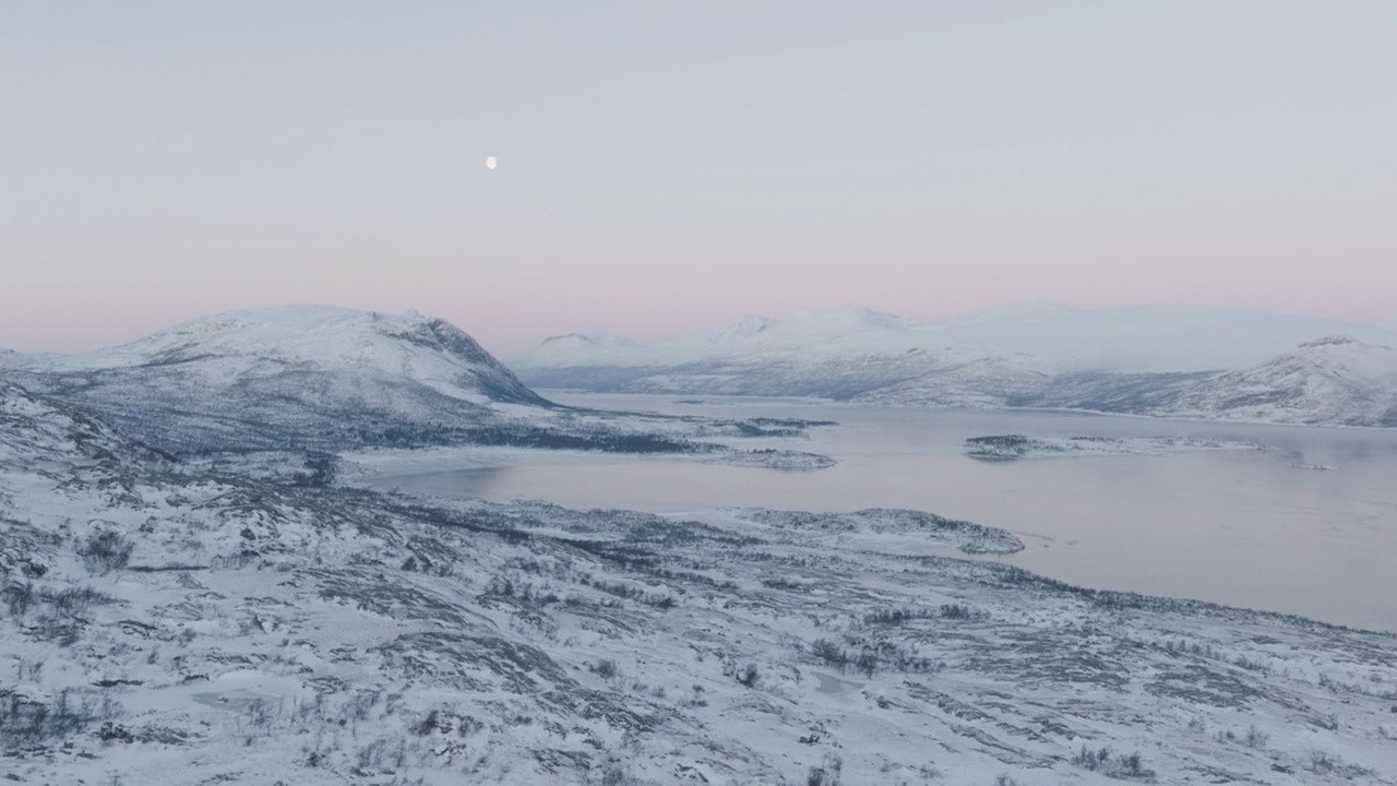 Teardrops of Our Grandmother