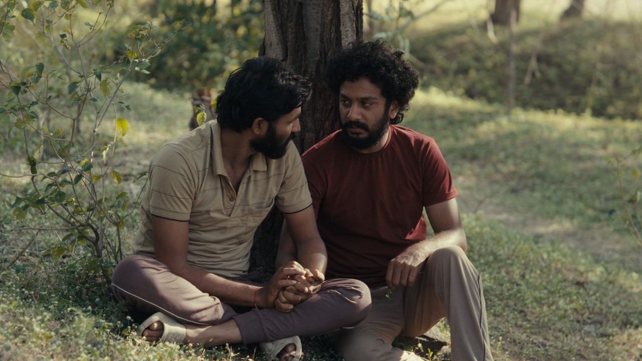 Image du film Cactus Pears