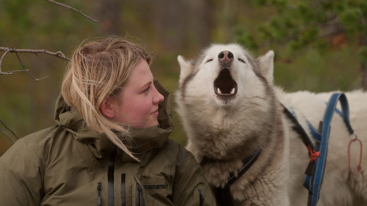 Image du film Folktales