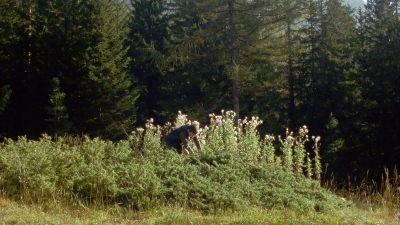 Image du film Memory Is an Animal, It Barks with Many Mouths