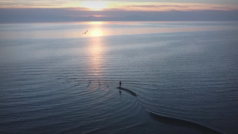 A Strange Sight To Behold: The Van Lake Monster