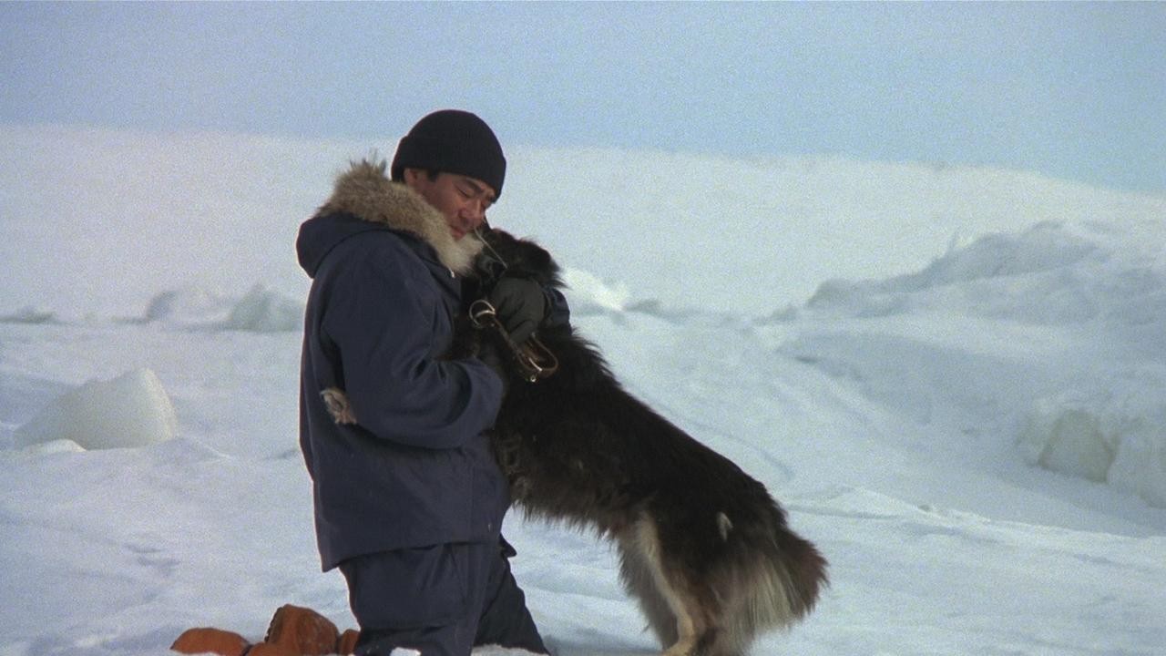 Image du film Antarctica