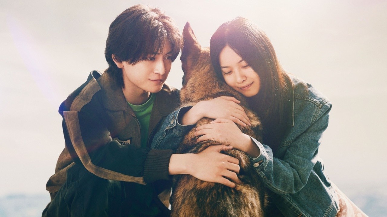 The Boy and the Dog