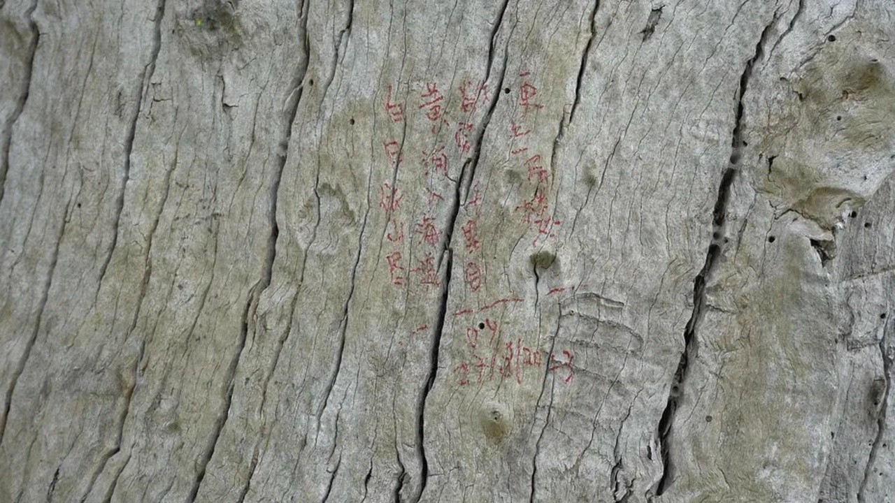 An Ode to Tree-Writing