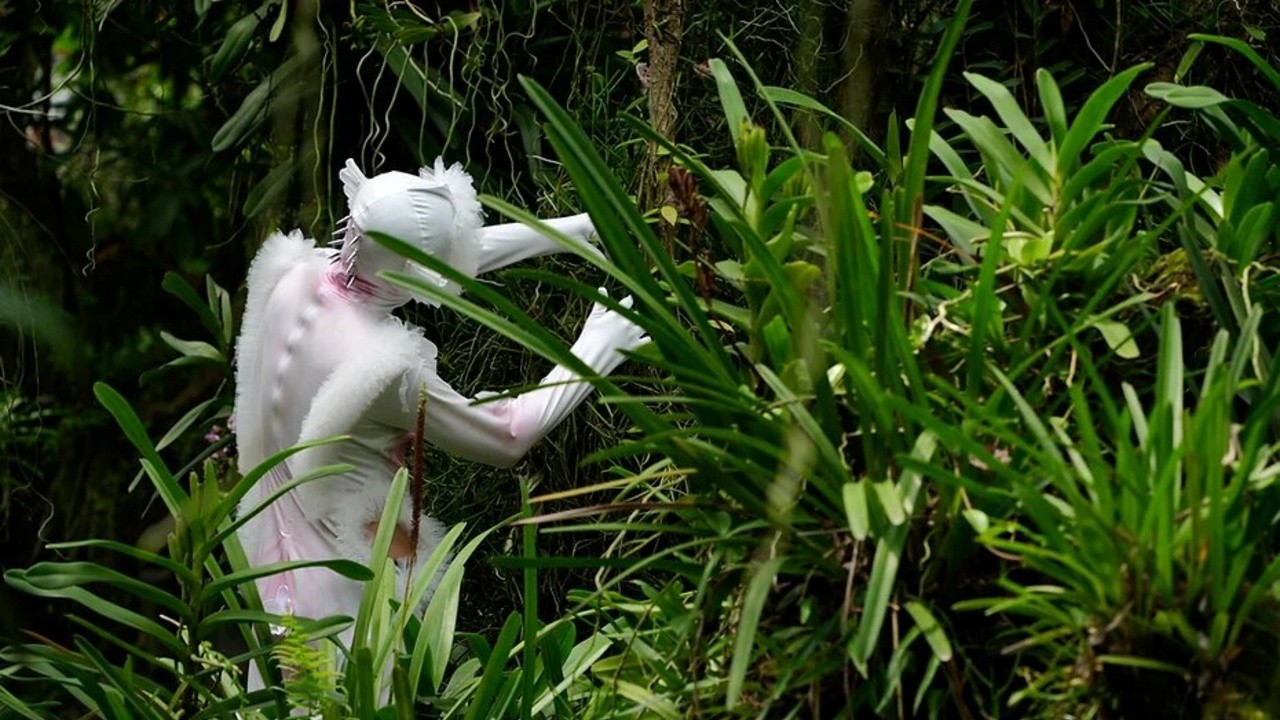 How Orchids Think: Become(ing) Orchid