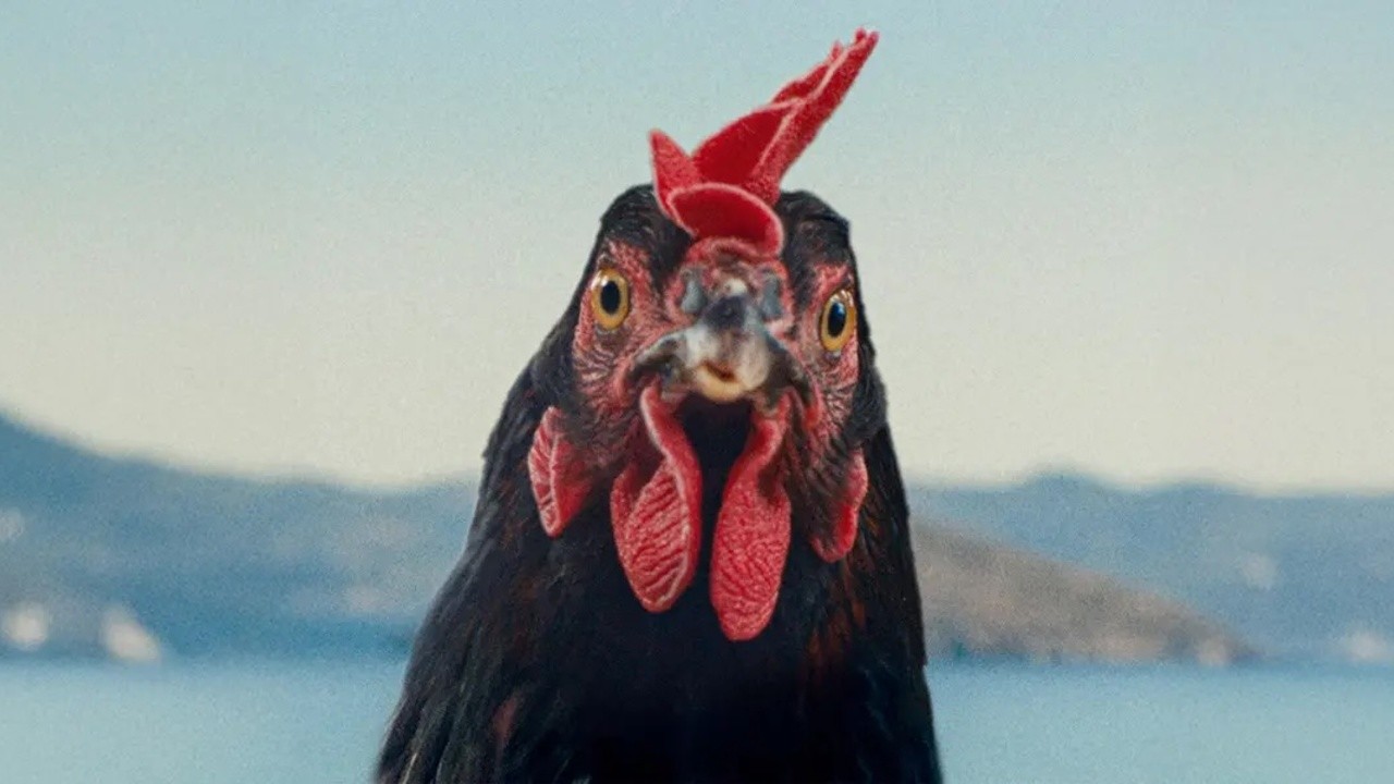 Image du film Cocotte