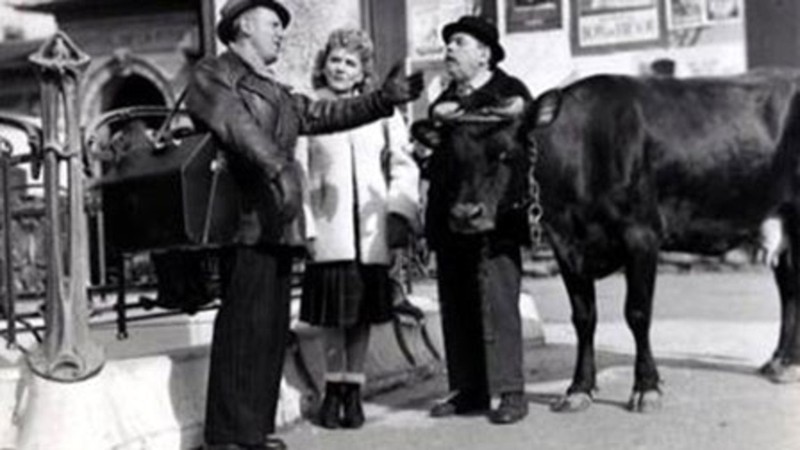 The Mysterious Mr. Davis (1936) MUBI