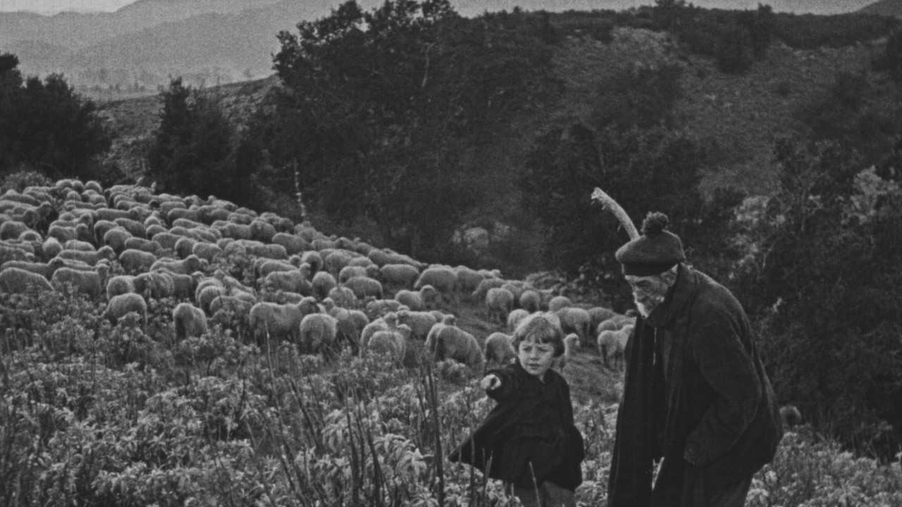 Image du film La Bruyère blanche