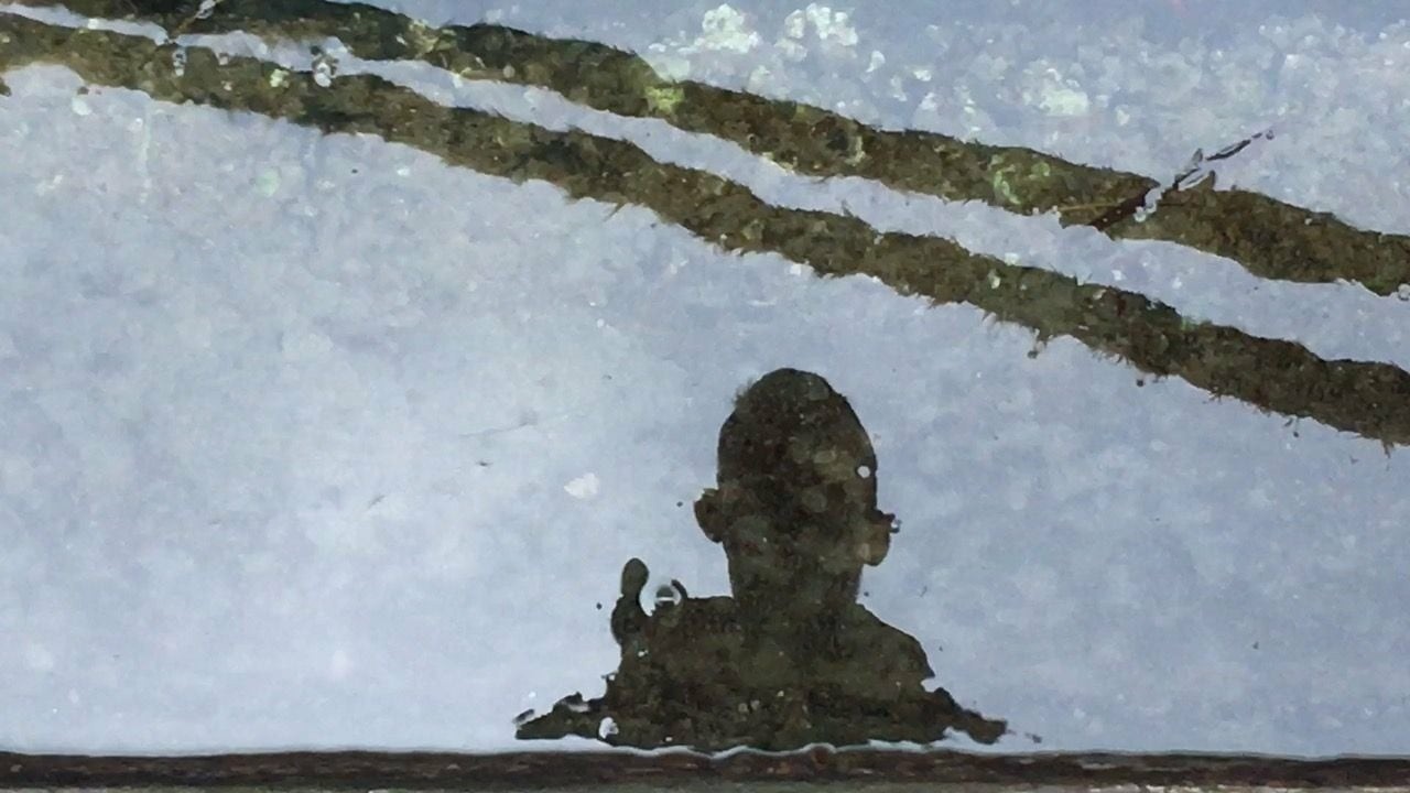 Image du film Les fils qui se touchent