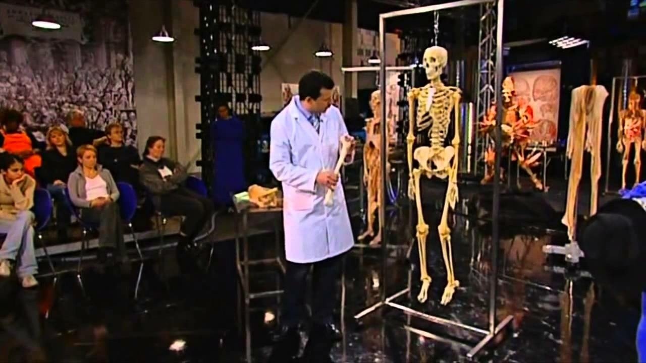 Anatomy for Beginners