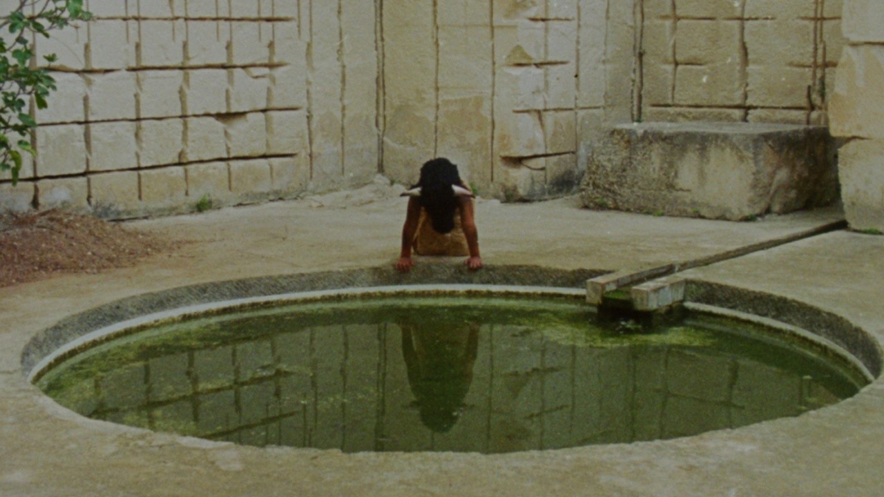 Image du film Mare’s Nest
