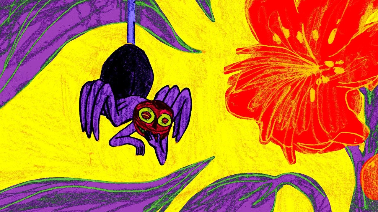 Anansi the Spider