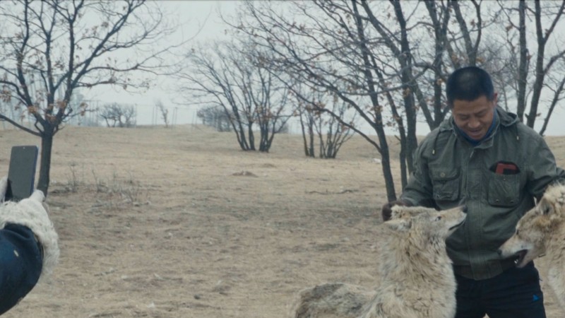 Animality (2025) | MUBI