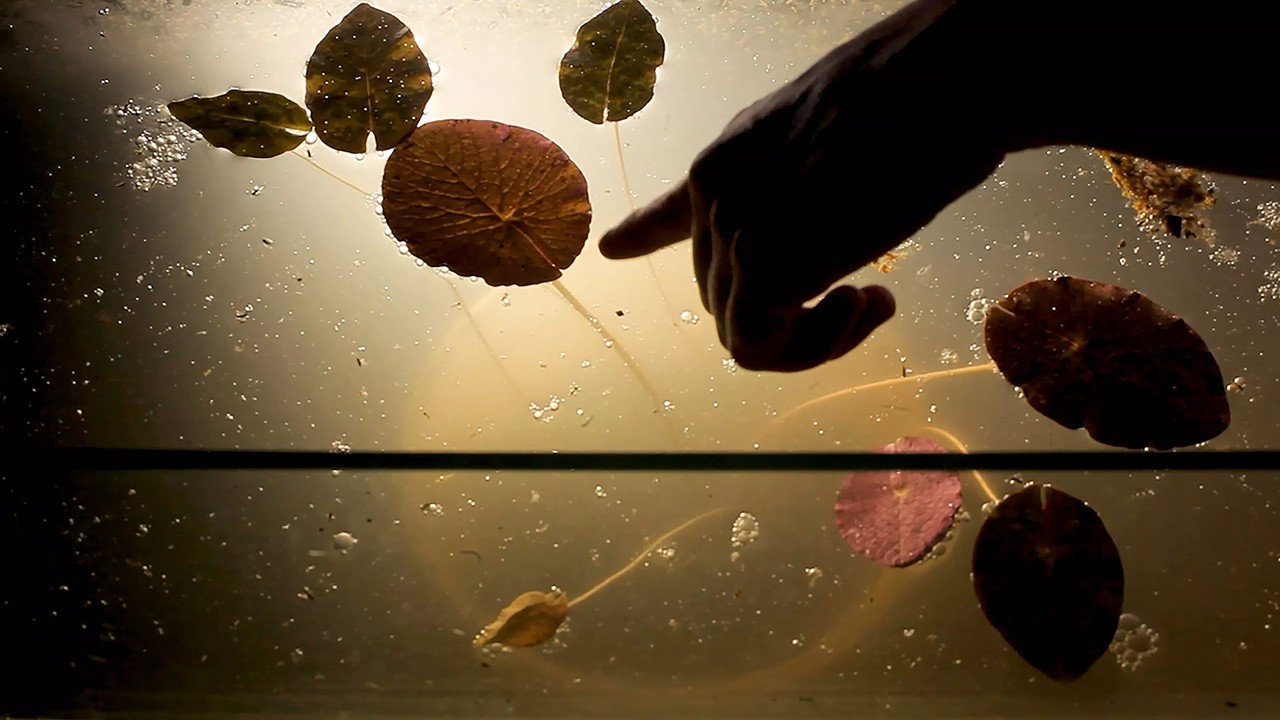 Image du film Yrupe
