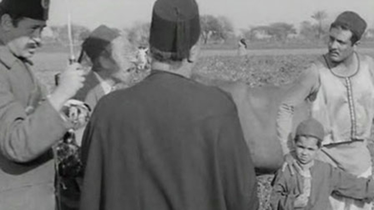 The Second Wife