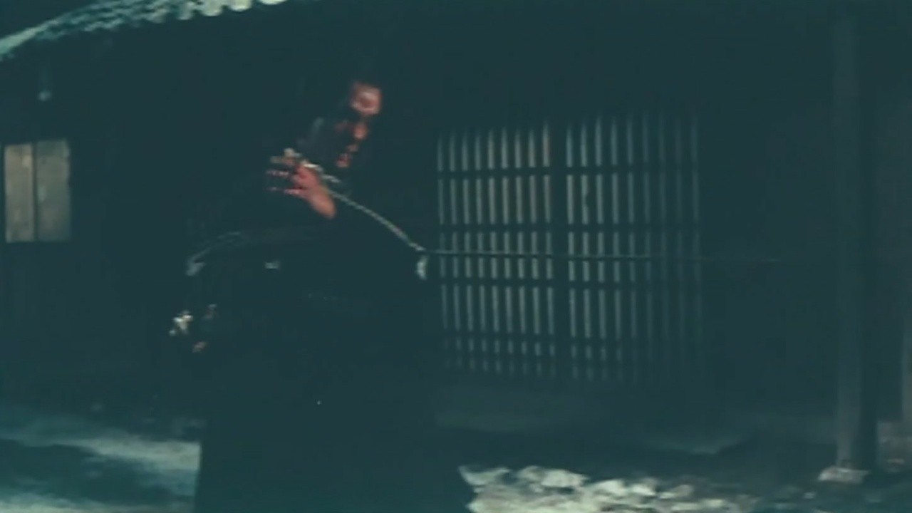 The Invisible Swordsman