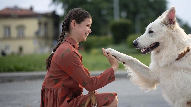 The Dog Who Travelled by Train