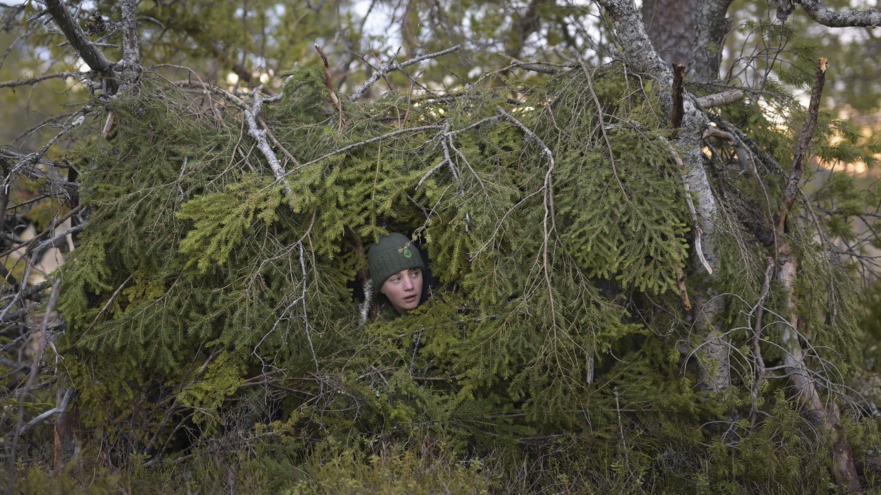 Image du film Le Chant des forêts
