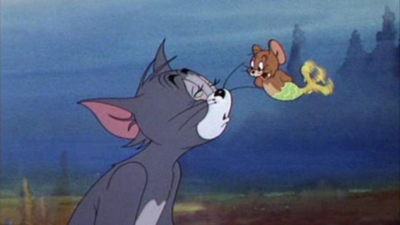 The Cat and the Mermouse