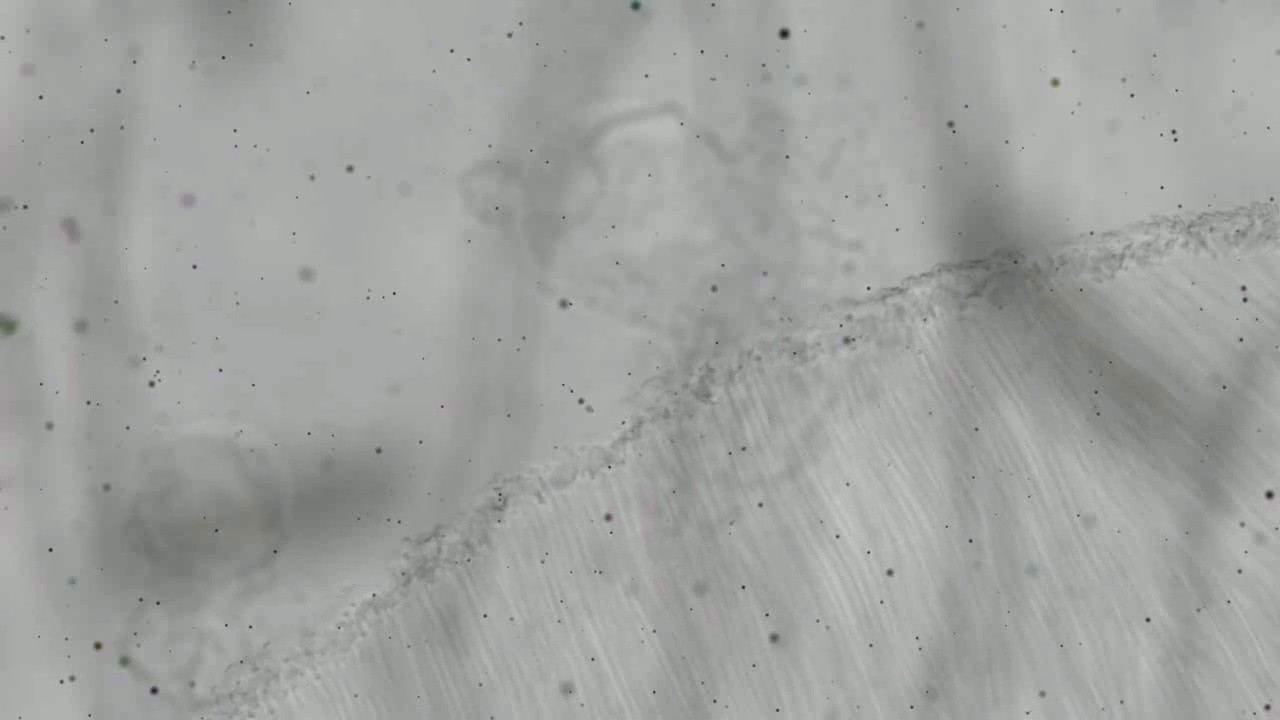 Drift