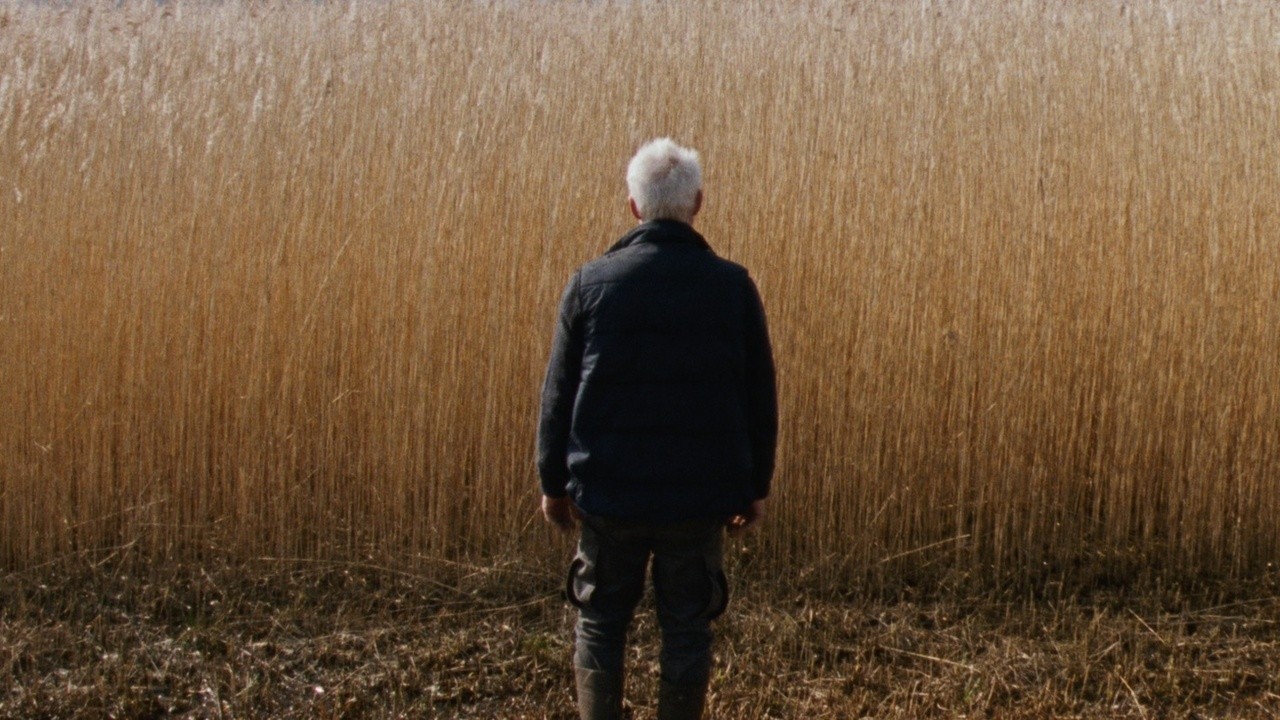 Image du film Reedland