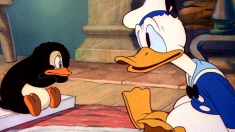 Donald und der Pinguin