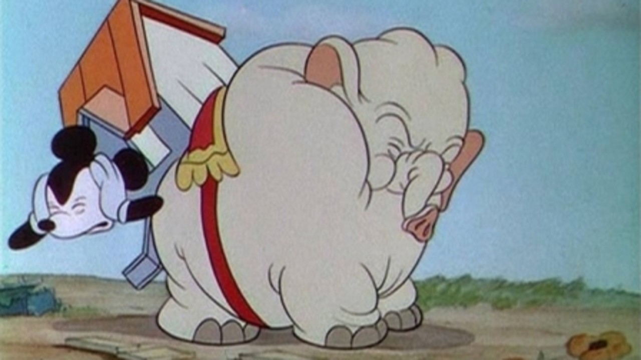 Mickey's Elephant
