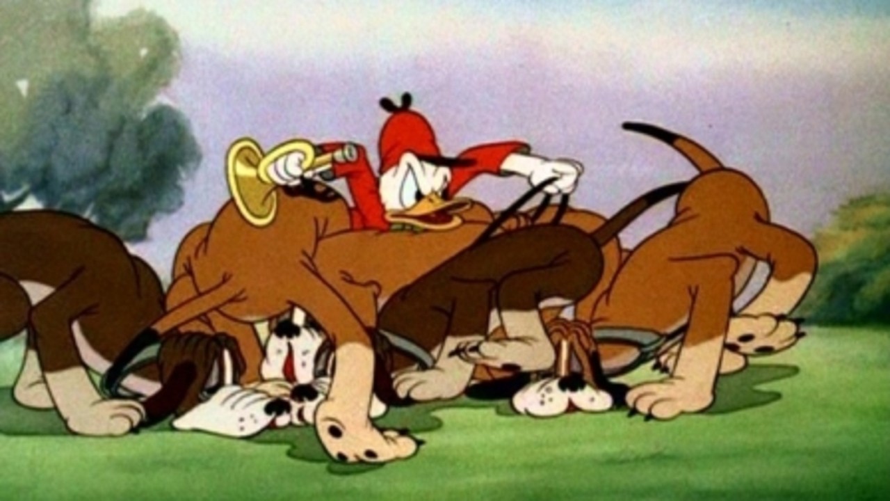 The Fox Hunt