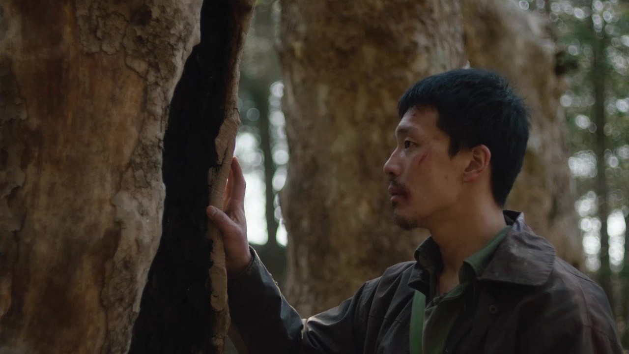 Treeman (2025) | MUBI