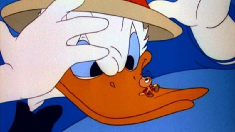 Bug Bootle Bootle Beetle (1947) | MUBI