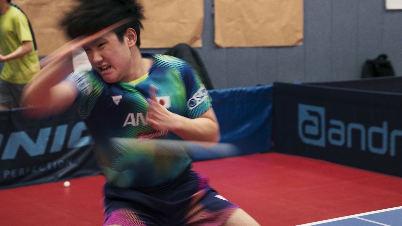 Ping Pong Paradise