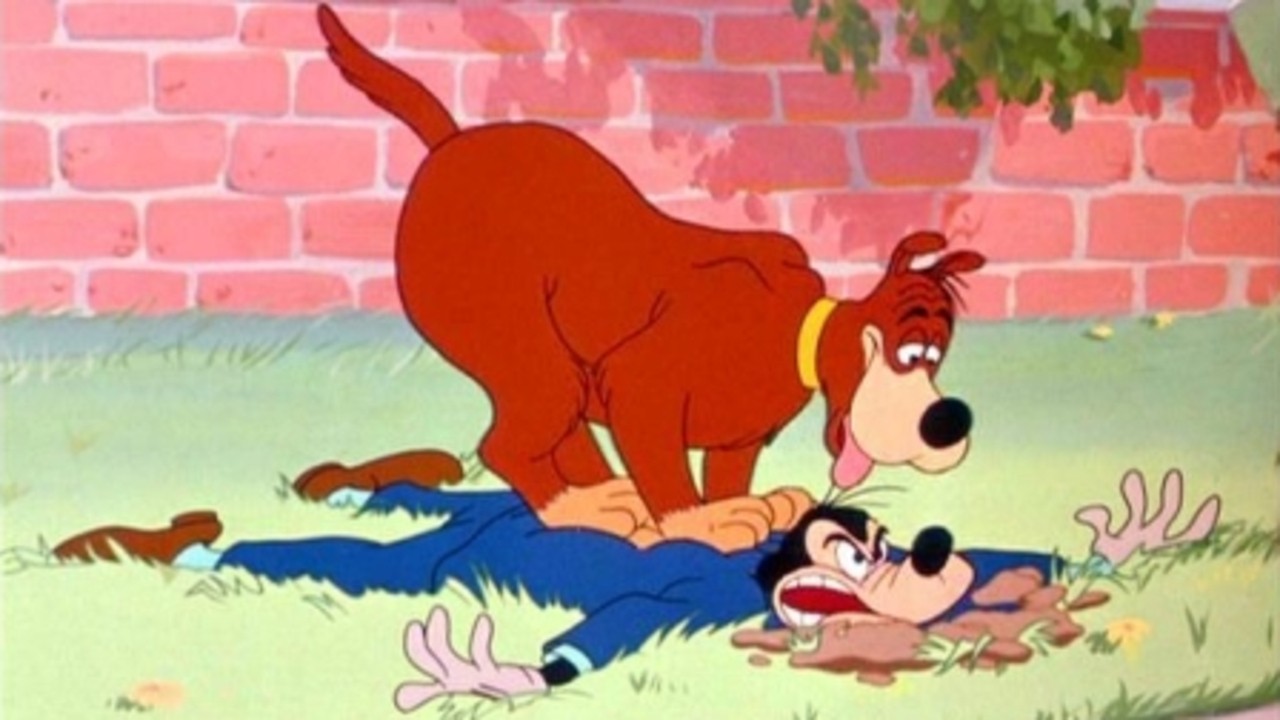Man's Best Friend