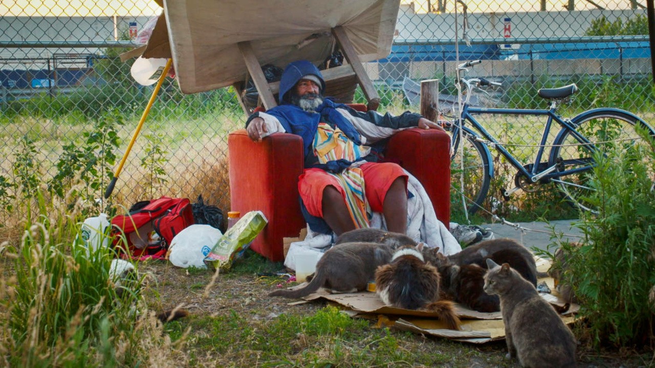 The Cat Man Eshete