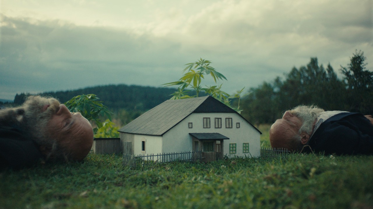 Image du film Radeji zesílet v divocine