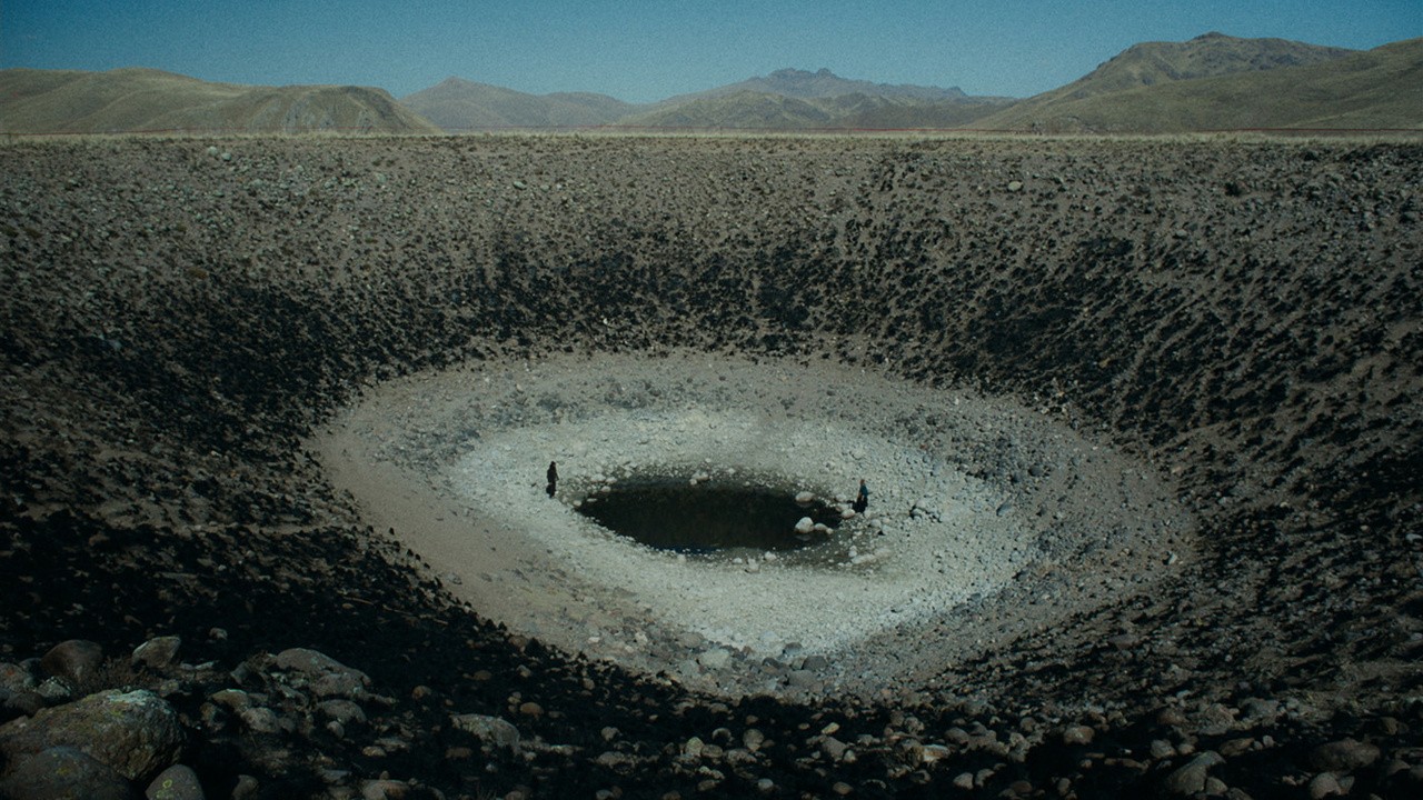 Image du film The Anatomy of the Horses