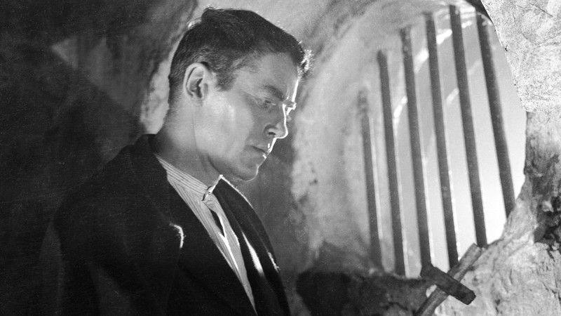The Fugitive