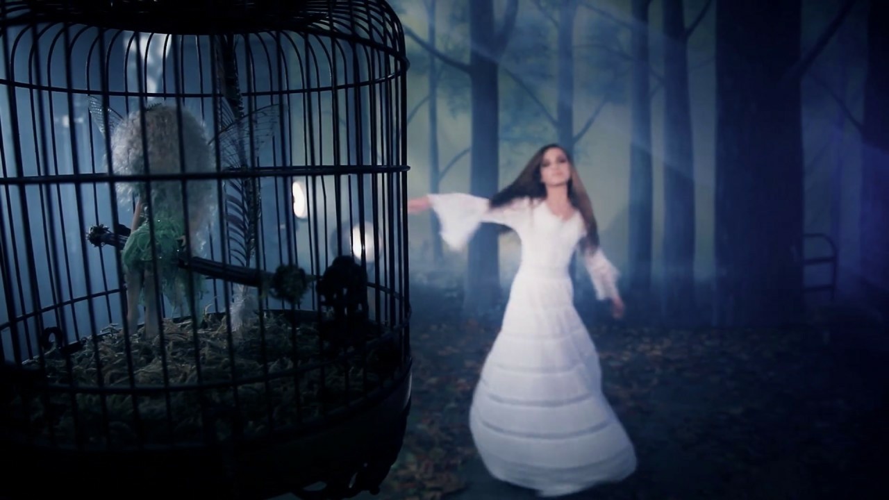 Stevie Nicks: Secret Love [MV]