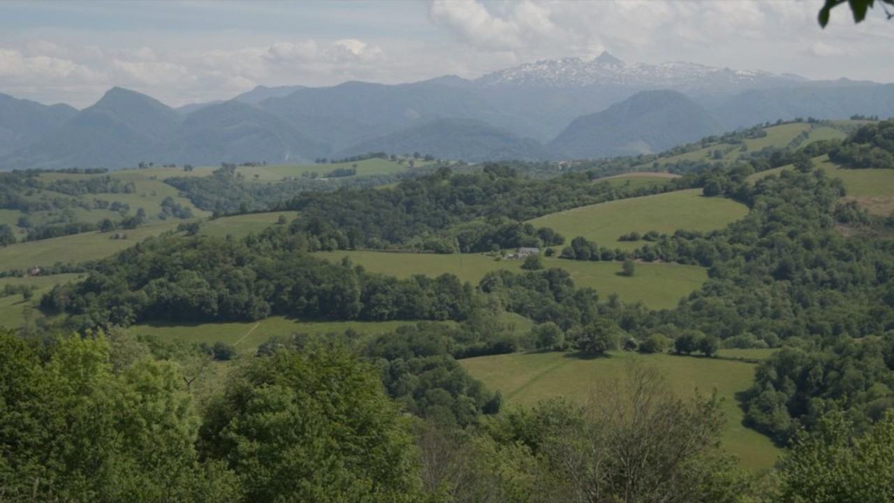 Image du film Bocage, nos haies communes