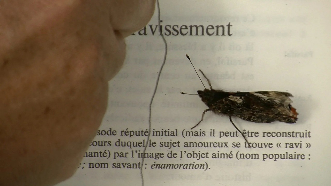 Love on the Bramble Path