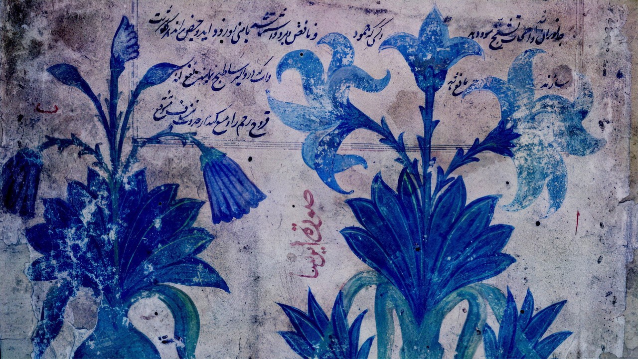 Daria's Night Flowers