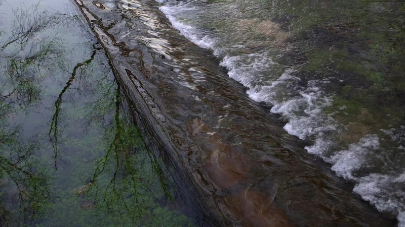 Poétique de l'eau