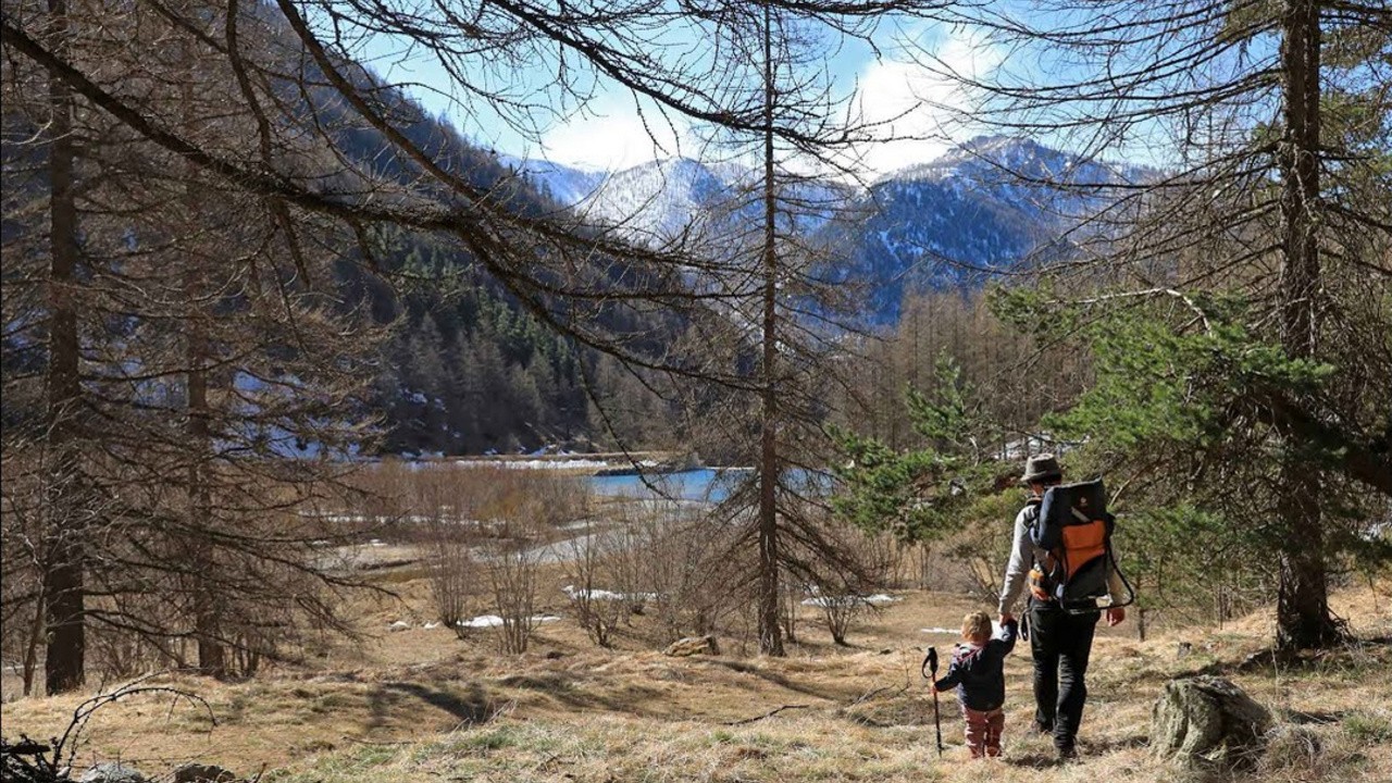 Image du film Naïs au Pays des Loups