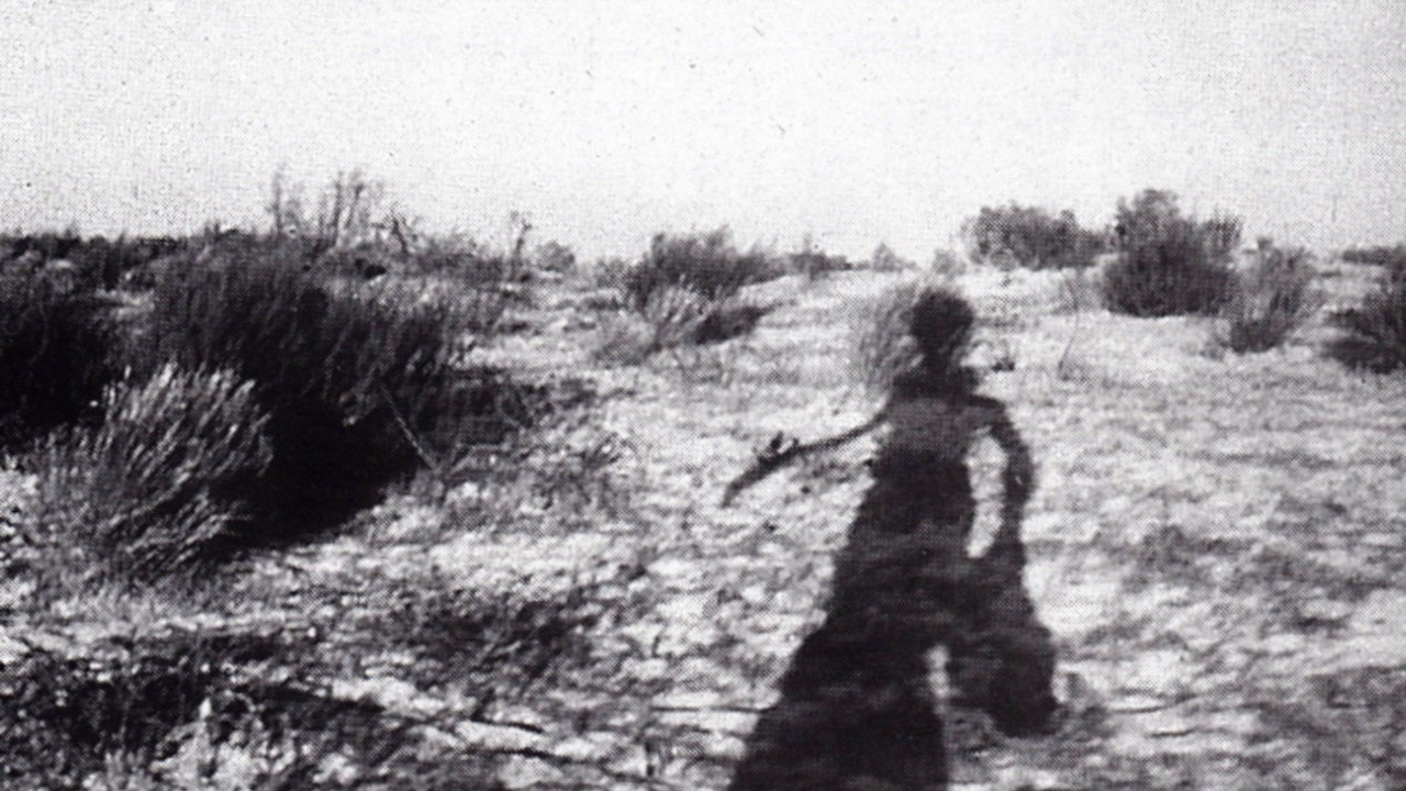Israël opus 40 - Description d'une génération