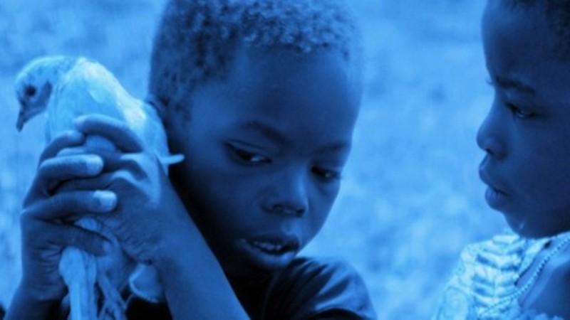 Blue Bird