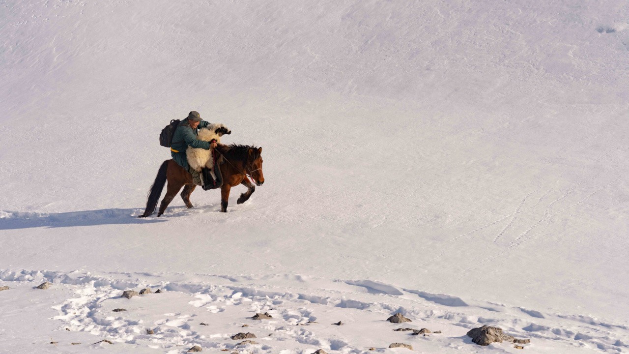 Image du film Mongolie, la vallée des ours