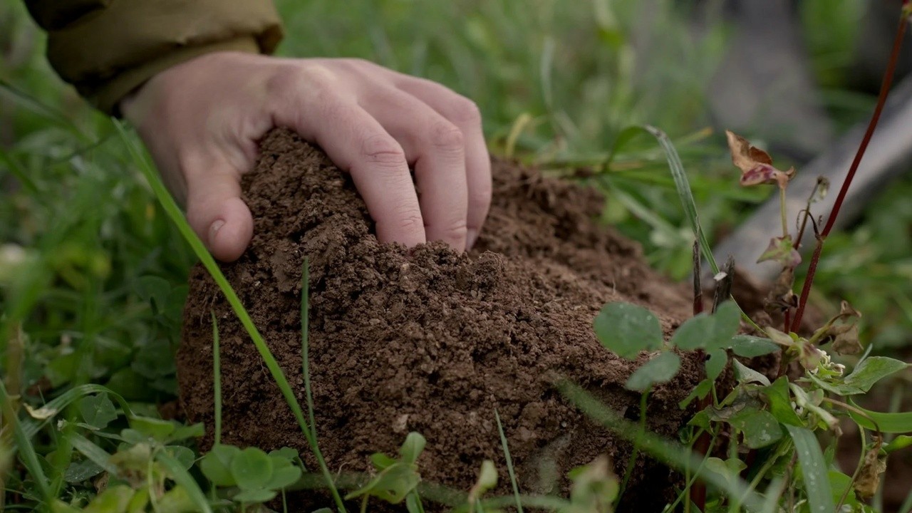 Image du film Six Inches of Soil