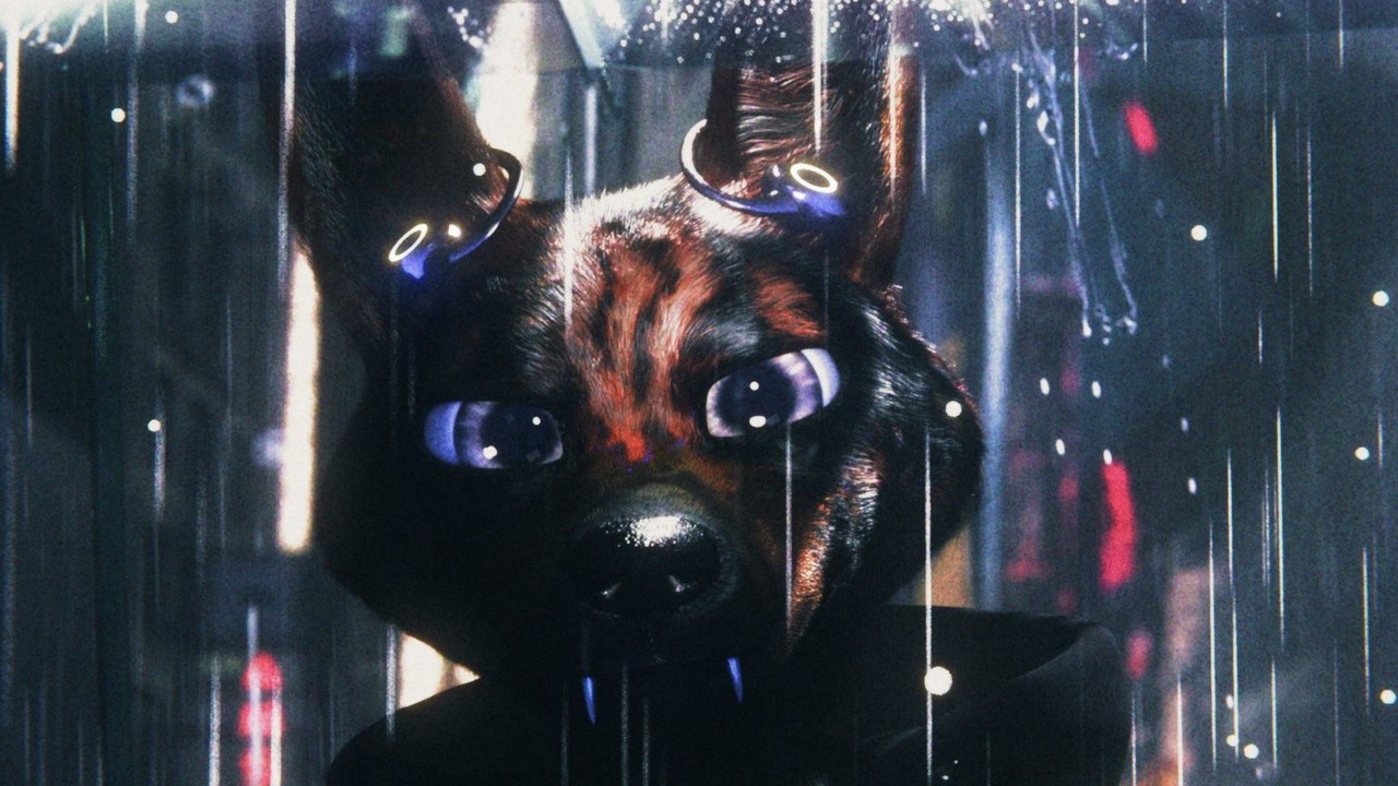 Image du film Bouchra