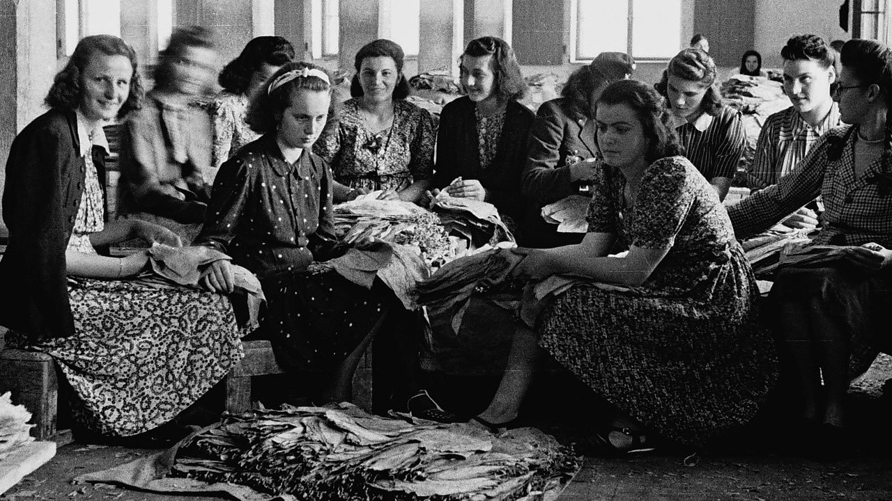 Forgotten Stations 2025 Mubi